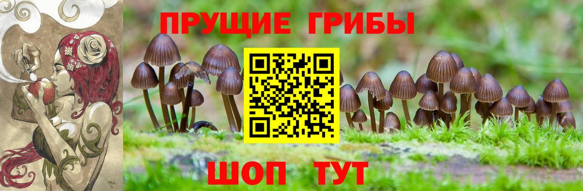 Галлюциногенные грибы Magic Shrooms  Вход с VPN  Родники  Галлюциногенные грибы Psilocybine cubensis 